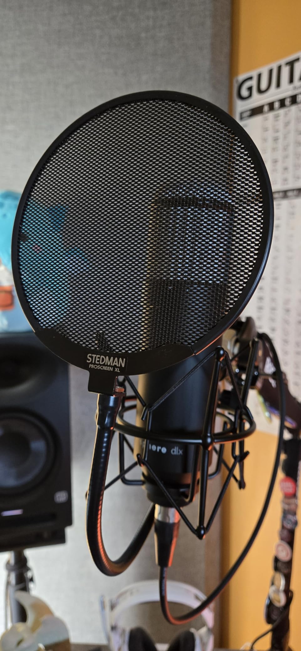 Stedman Proscreen XL V2 Pop Filter for Microphones customer photo 2