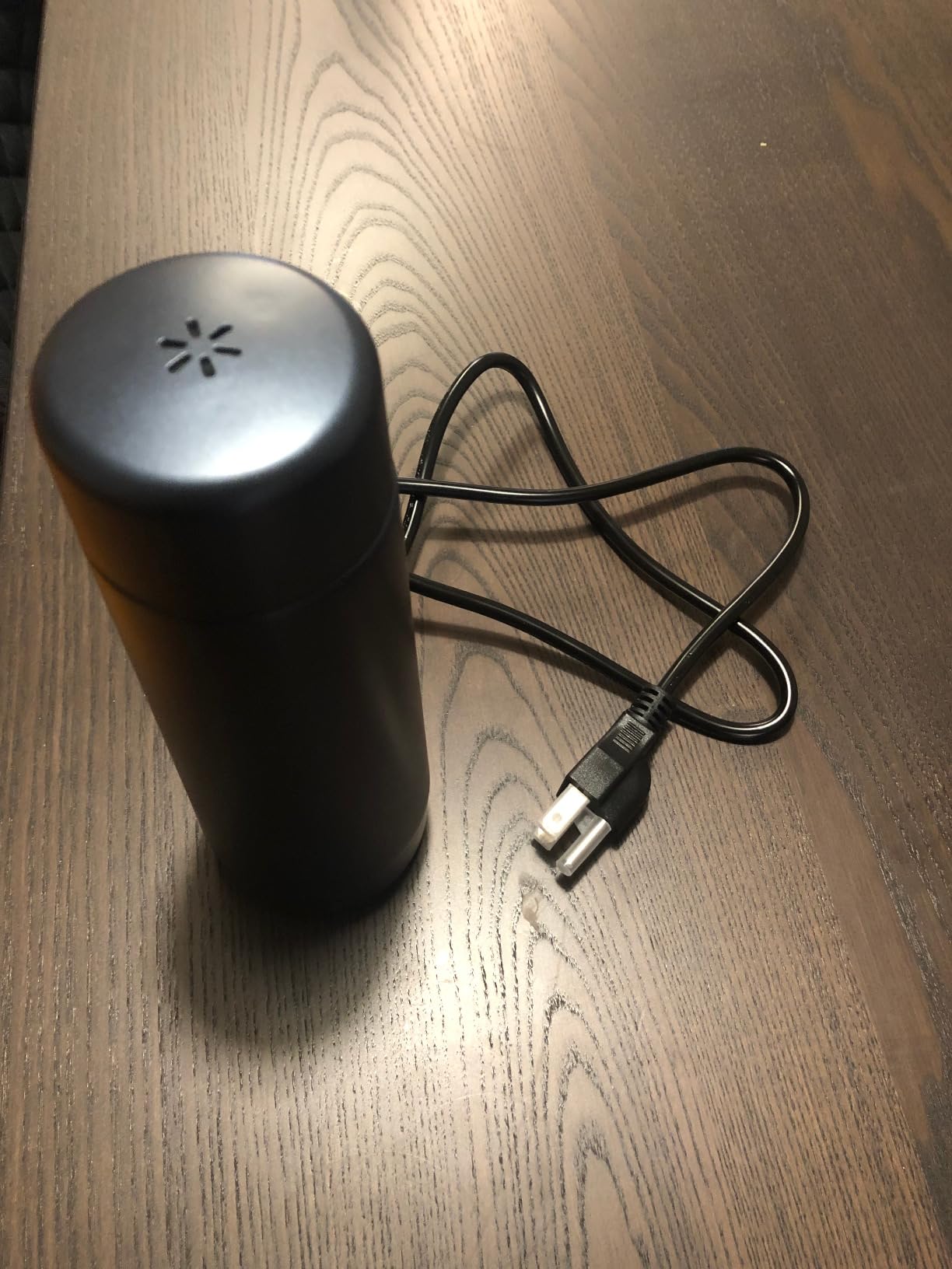 Nicewell Portable Electric Kettle for Travel Global Use 110-240V customer photo 1