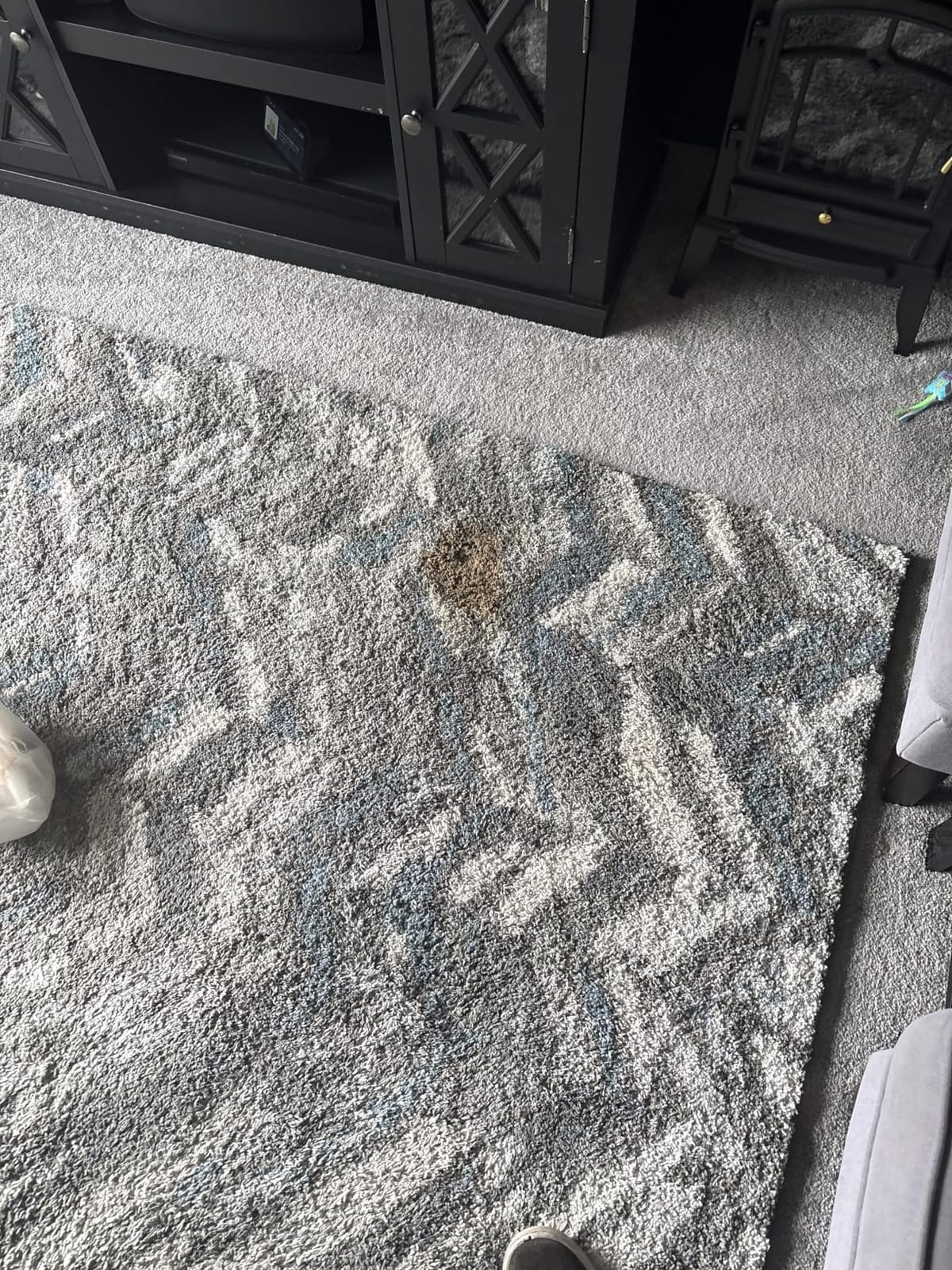 BISSELL Little Green Mini Portable Carpet Cleaner, 4075 customer photo 1