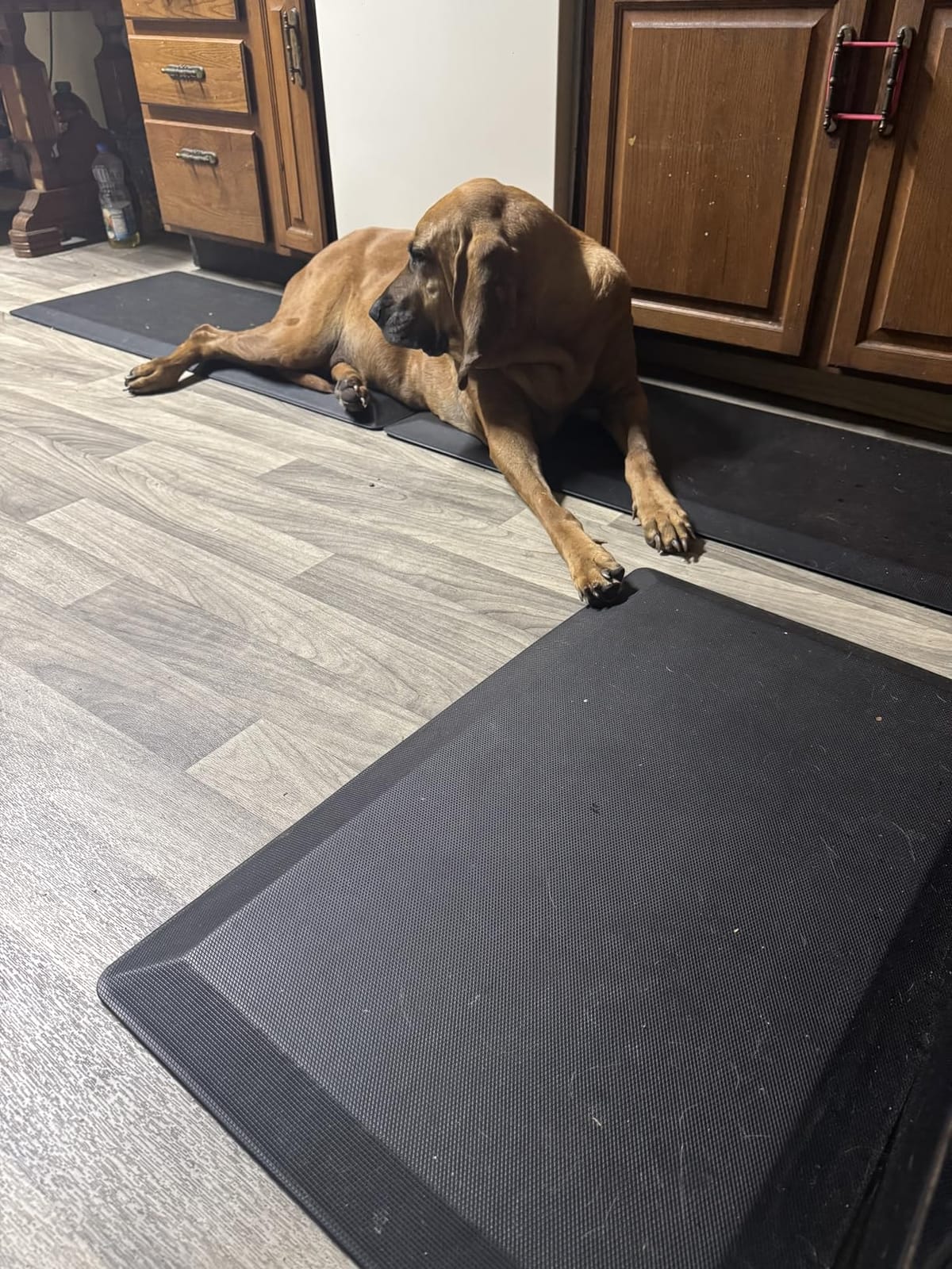 Tyrot Extra Thick Anti Fatigue Mat for Kitchen Floor, 20x32, Black customer photo 1