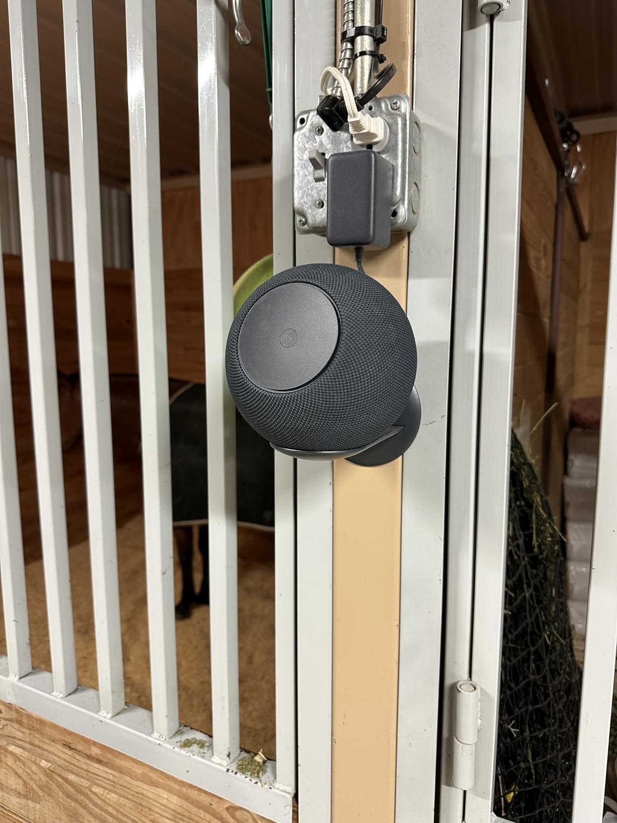 Amazon Echo Studio (newest model), Immersive spatial audio and Dolby Atmos, Designed for Alexa+, Graphite customer photo 1