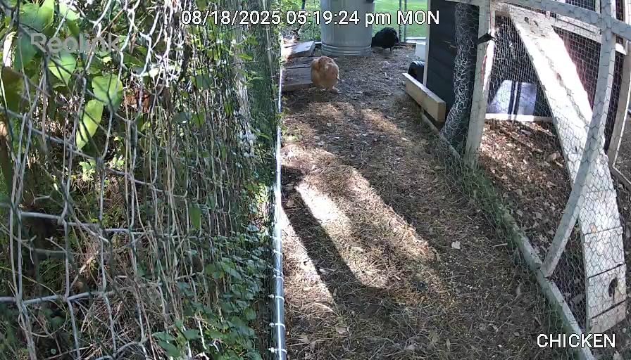 REOLINK 4K Dual Lens Cellular Security Camera Outdoor, Solar Wireless PTZ customer photo 2