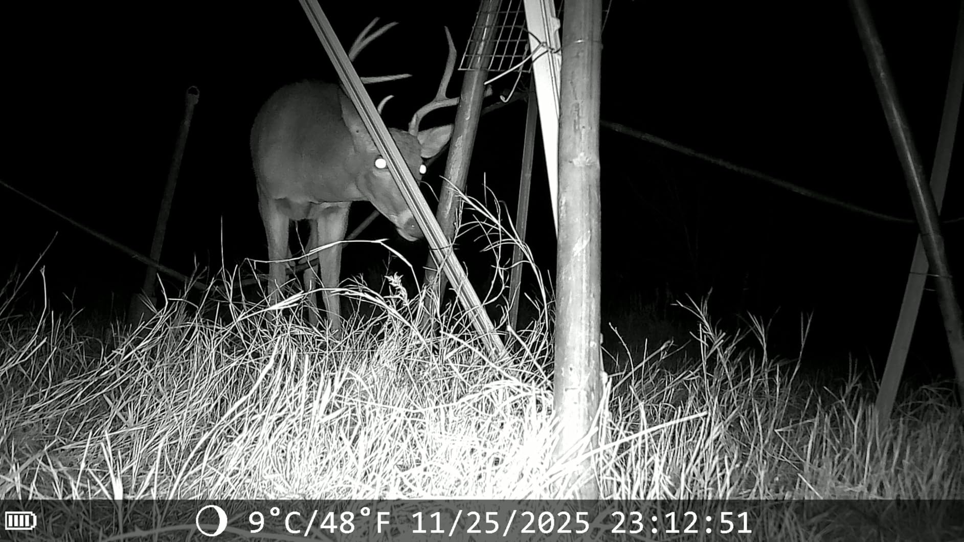 Trail Cameras with Night Vision Motion Activated - WiFi Bluetooth 4K 64MP customer photo 1