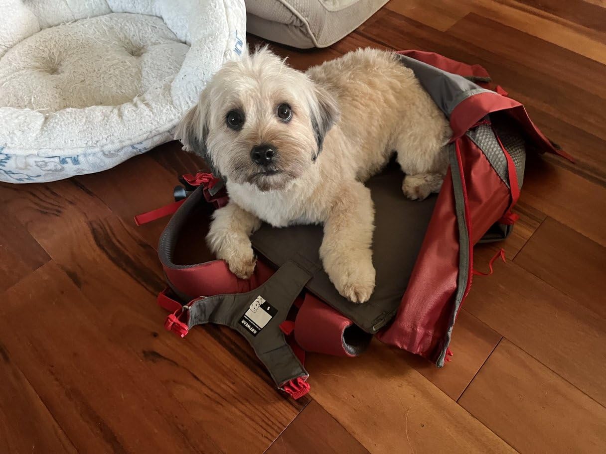 Ruffwear, Hitch Hiker Dog Backpack Carrier, River Rock Green, Small customer photo 1