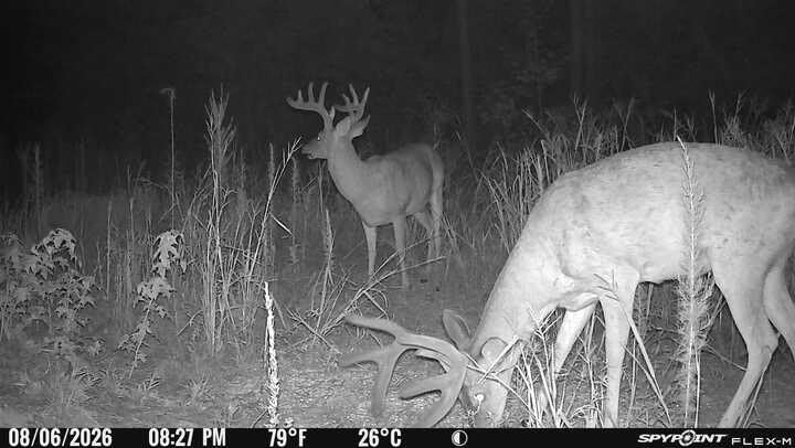 SPYPOINT Flex-M and SD Card Pack - Cellular Trail Cameras |Best Value in Hunting Accessories |No WiFi Needed & GPS-Enabled |Hunting Night Vision | IP65 Waterproof |28MP Photos, 720p Videos customer photo 2