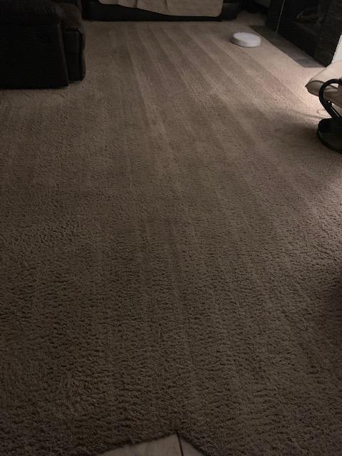roborock Q10 S5+ Robot Vacuum and Mop, 10,000Pa Suction customer photo 1