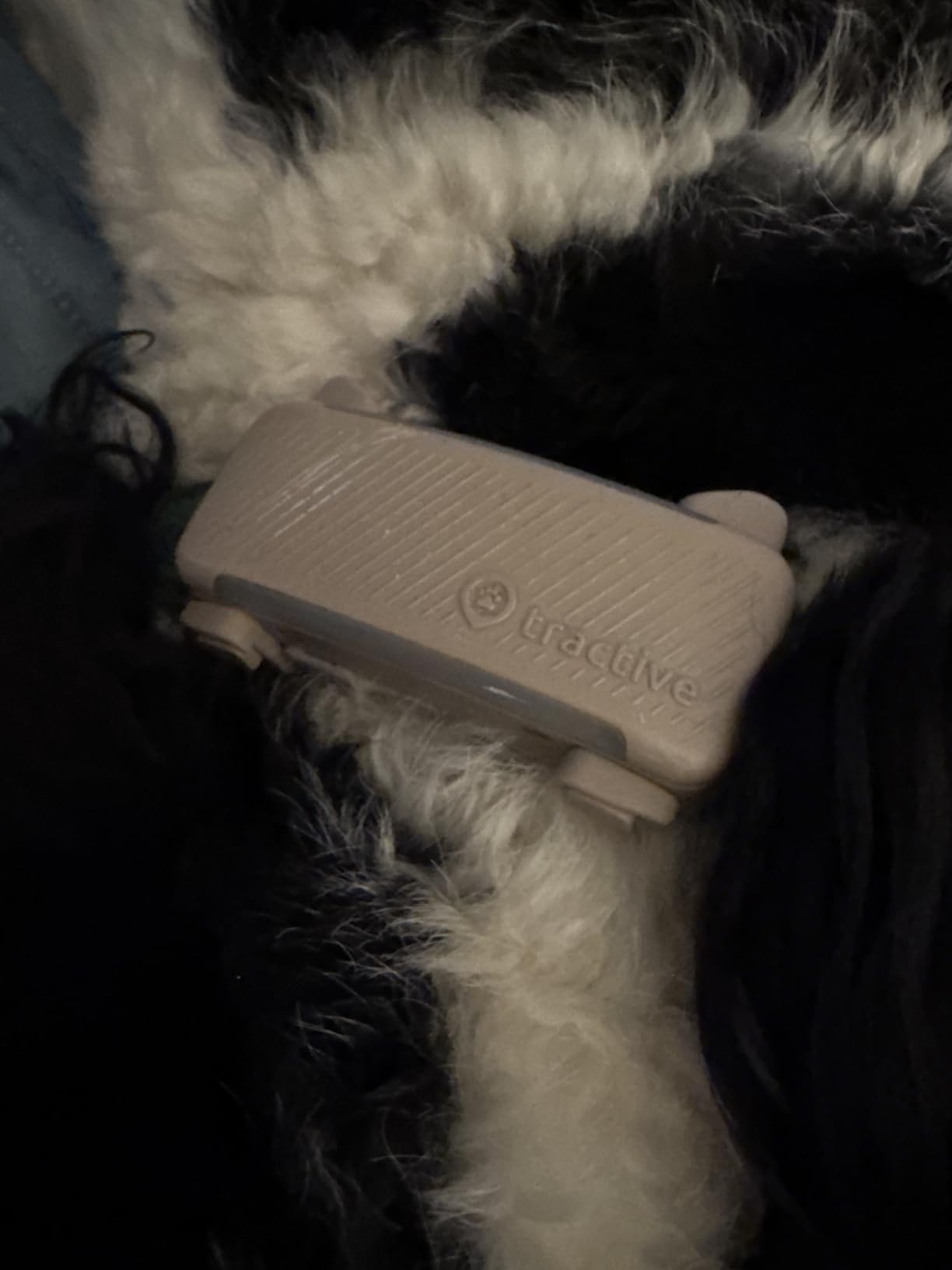 Tractive Smart Dog GPS Tracker with 6 Month Subscription | Live Pet Tracker with Virtual Fence | Vital Signs Monitoring of Heart & Respiratory Rate | Bark Monitoring | Dog Collar Attachment (Brown) customer photo 1