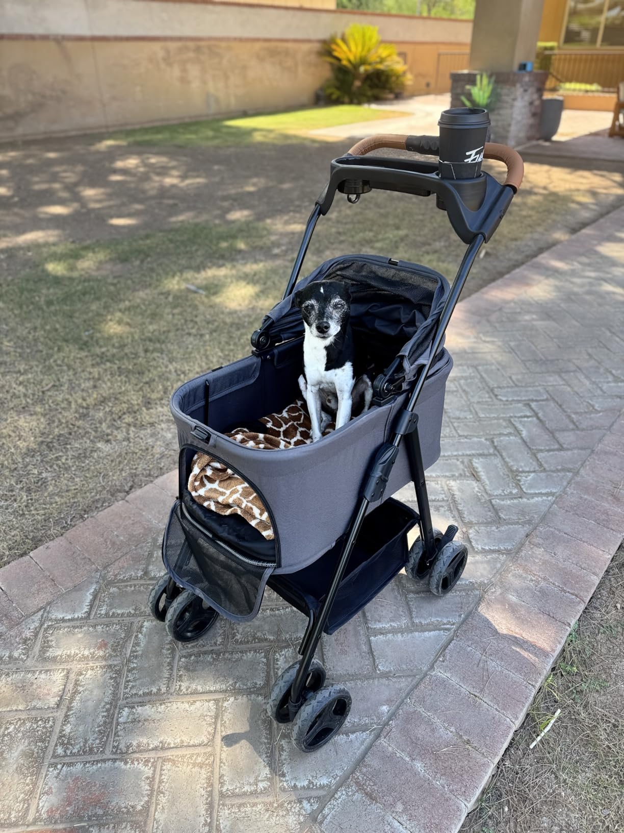 Zoosky 3 in 1 Dog Stroller, Folding Pet Stroller w/Removable Carrier customer photo 2