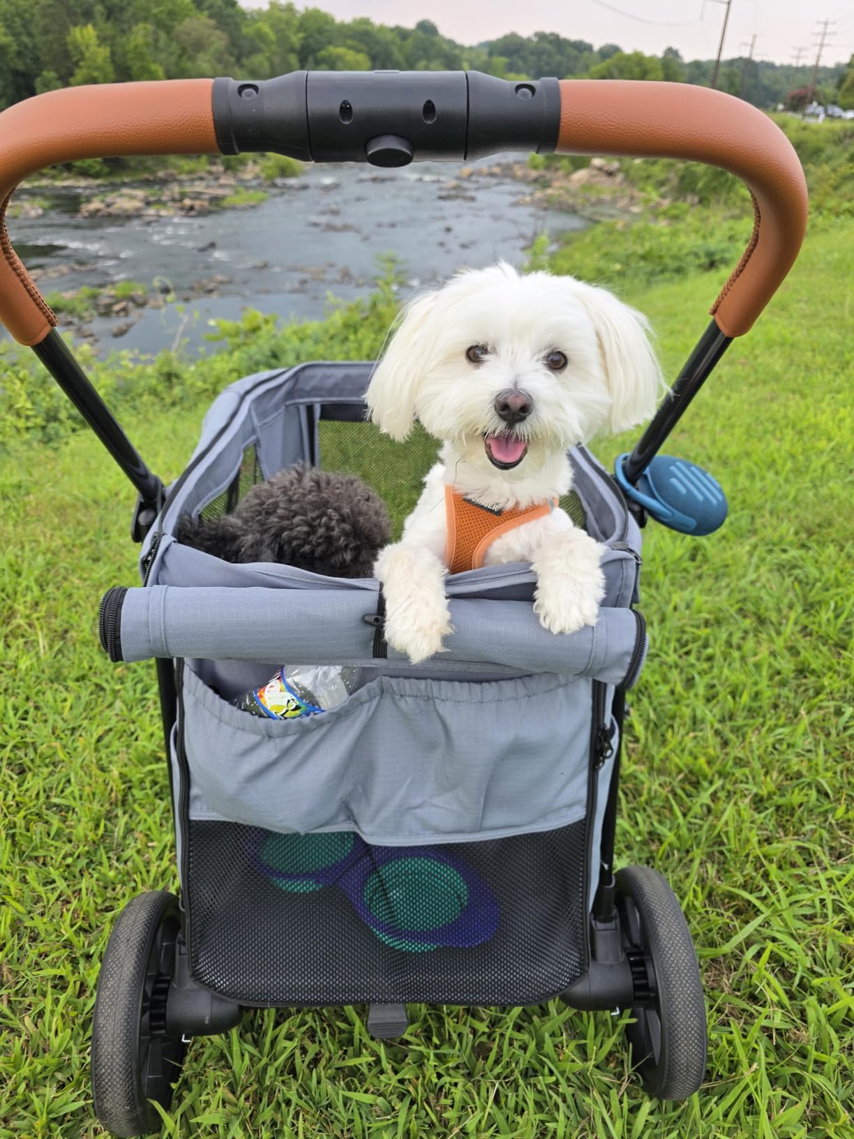 CANINE CANYON Scout Pet Stroller, Heavy Duty Dog Stroller for Large & Medium Dogs, Foldable Pet Stroller for 2 Small Dogs with All-Terrain Wheels, Storage Pocket & Cup Holder, 55 lbs Capacity, Black customer photo 2
