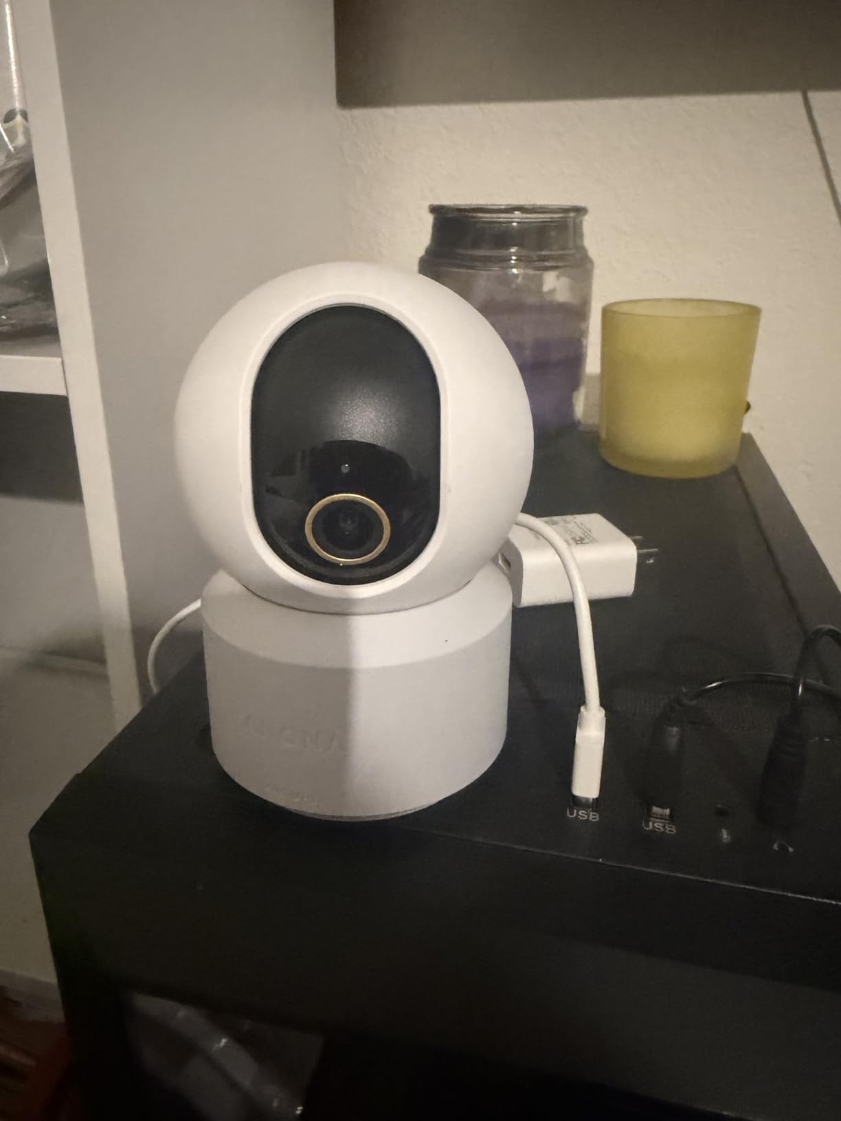 Anona Pano 4K UHD Indoor Camera, Pet/Dog Security Camera with Phone App customer photo 1