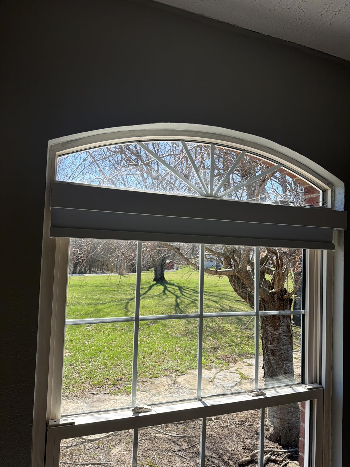 Smart Roller Shades for Windows, Works with Alexa, 23