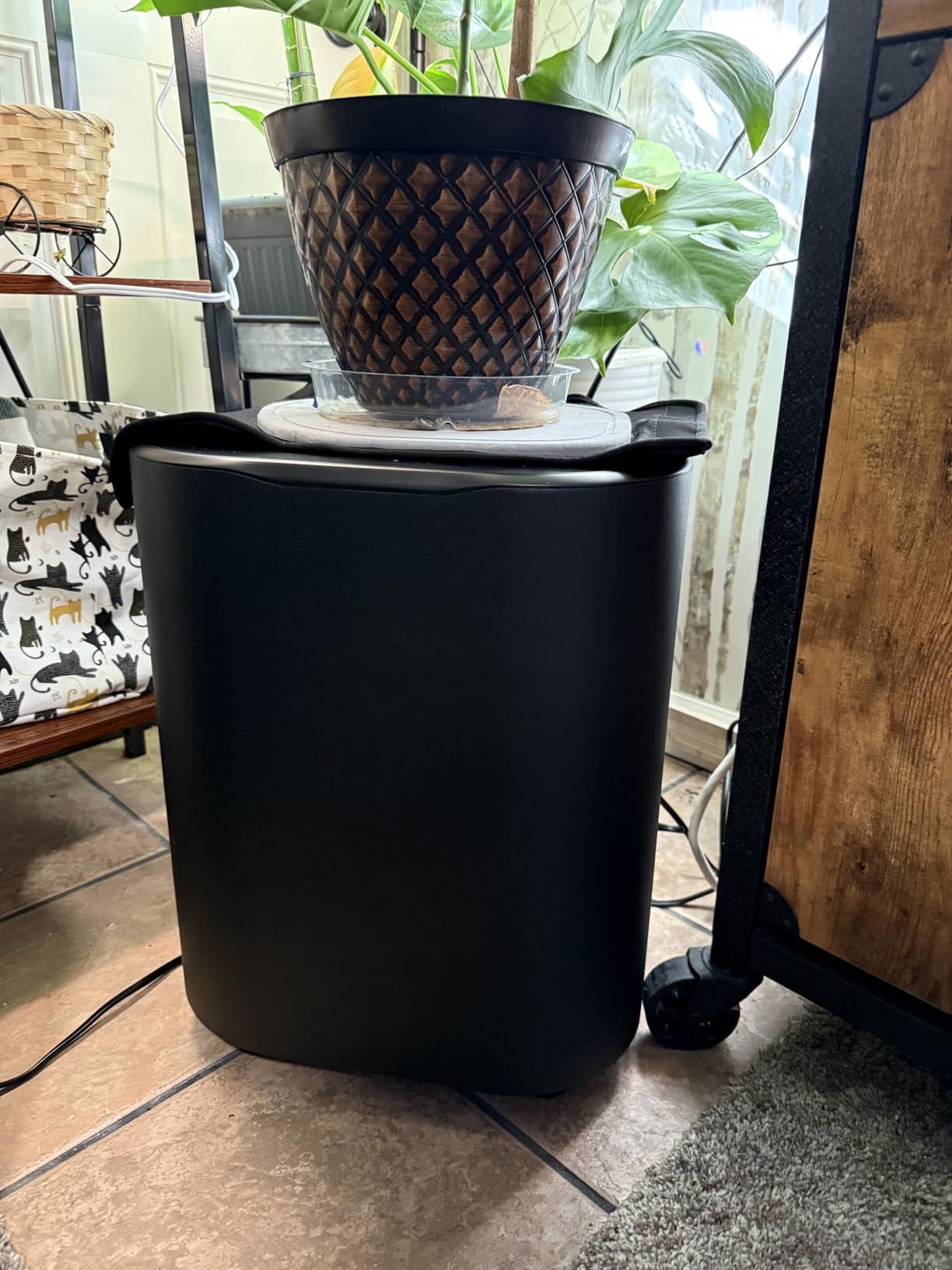 JBL Bar 1300XMK2 Dolby Atmos Soundbar with Detachable Speakers - Black customer photo 2