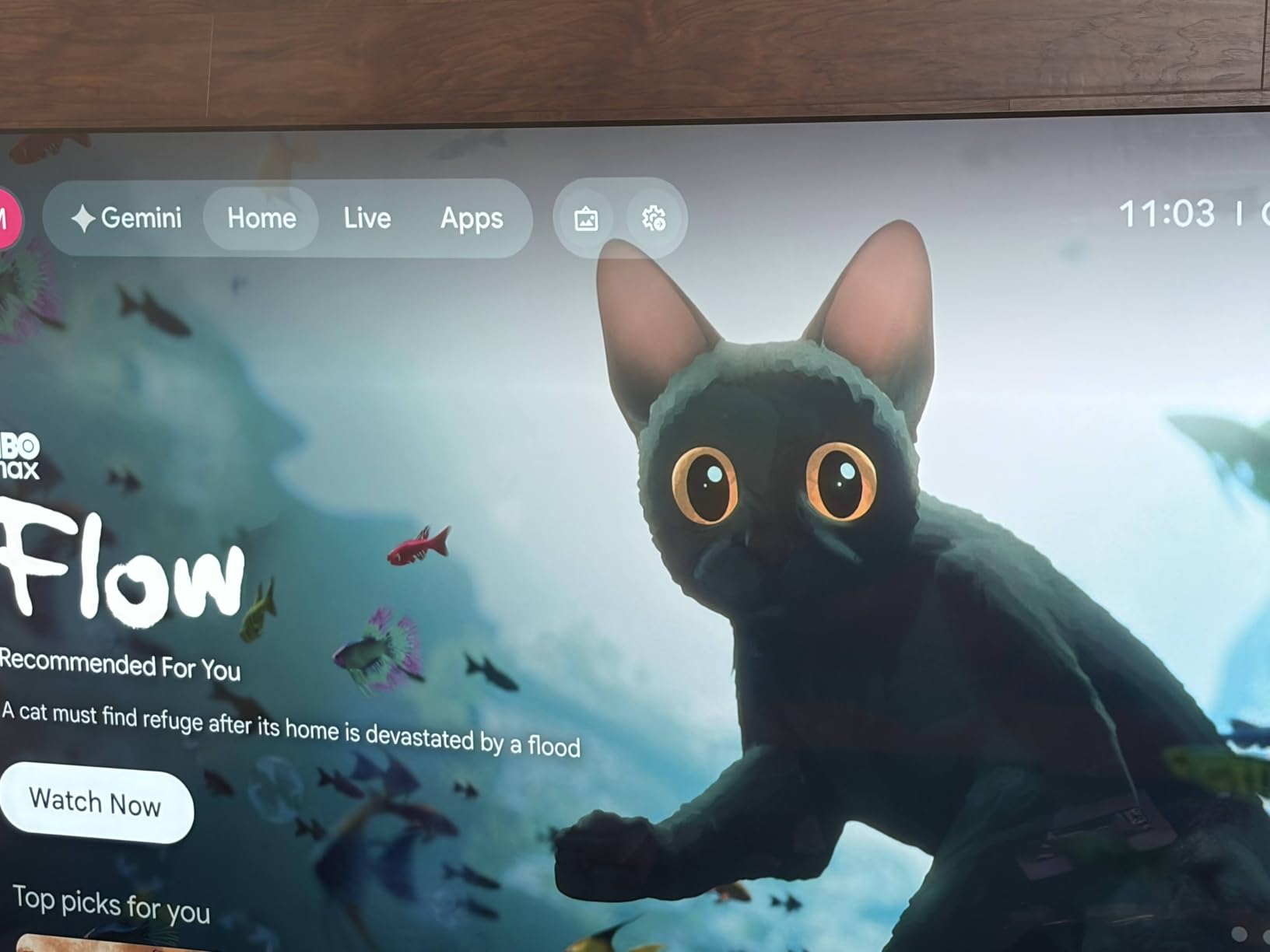 Google TV Streamer 4K - Fast Streaming Entertainment on Your Device with Voice Search Remote - 32 GB of Storage customer photo 2