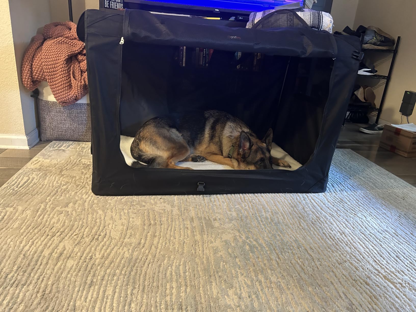 Feandrea Collapsible Dog Crate, Portable Pet Travel Crate, 42 Inches customer photo 1