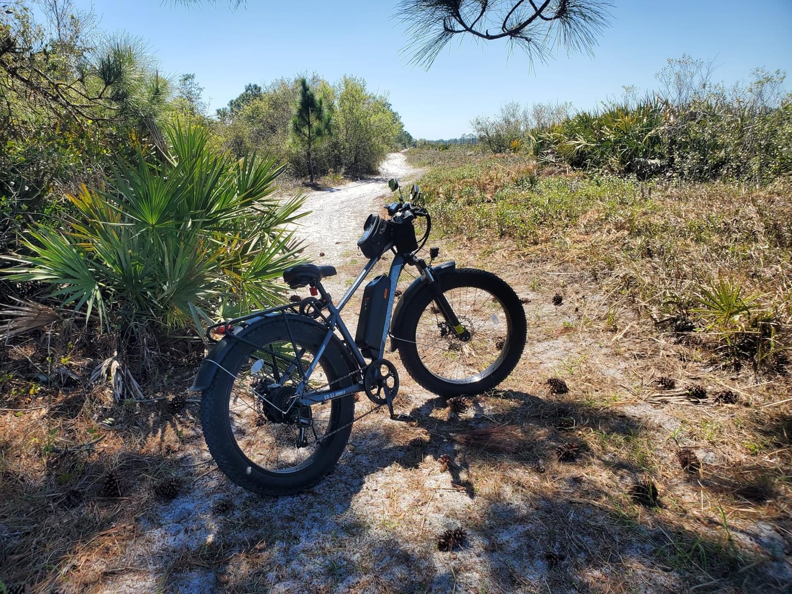 Electric Bike for Adults, 1000W Peak Ebike, 60Miles Electric Mountain Bike, 26