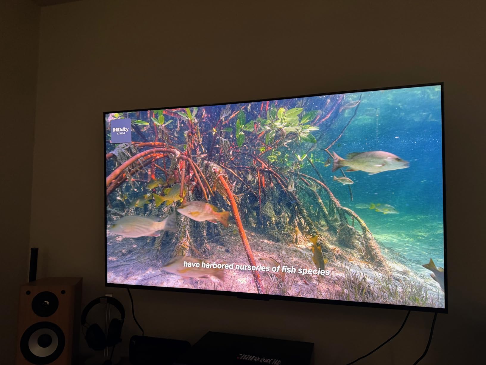 TCL 55 Inch Class QM7L Series | SQD-Mini-LED QLED Smart TV | 55QM7L, 2026 Model | 144Hz | Ultimate Color Ultra Brightness & Contrast | Google AI Bang & Olufsen | Voice Gaming Streaming Television customer photo 1