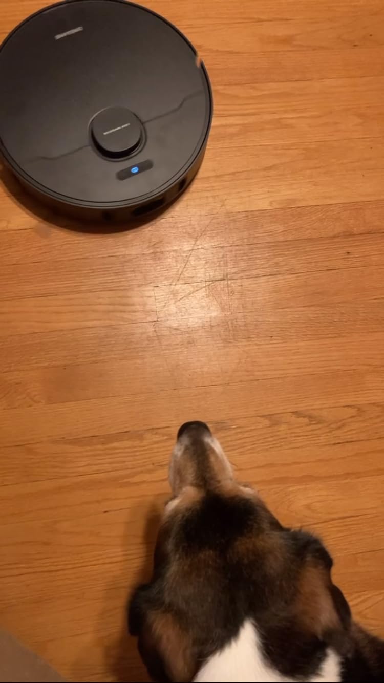 dreame D30 Ultra CE Robot Vacuum and Mop, 25,000Pa Powerful Suction | 0.41in Mop Lifting, Multifunctional Base Station, Auto Dust Emptying & Mop Self-Cleaning, Smart Obstacle Avoidance, Black customer photo 1