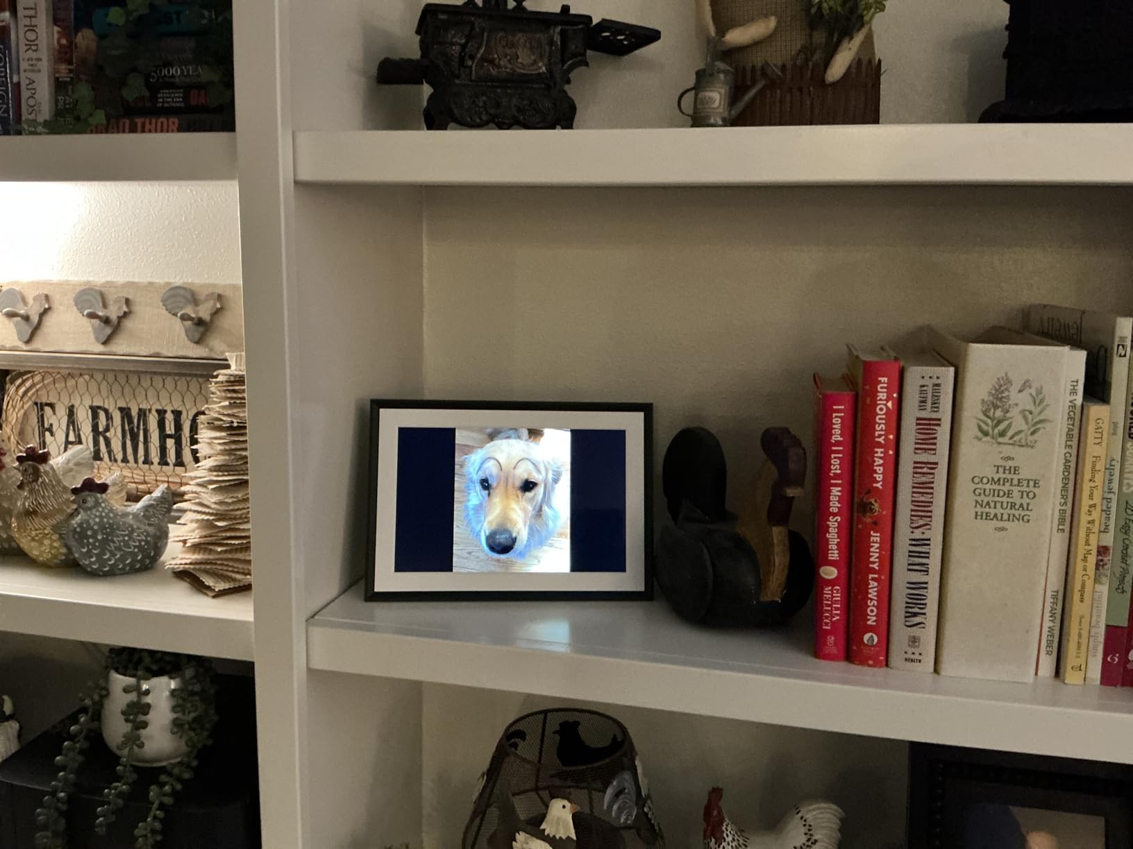 Aura HD Digital Picture Frame | Carver: The Best Frame for Gifting (Black Mat, 15