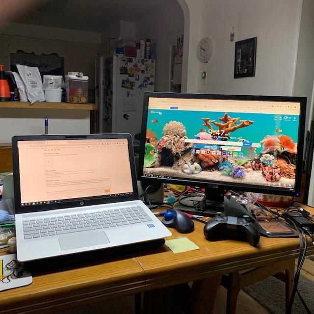 HP EliteBook 6 G1i Laptop, Ultra 7 255U, 16GB DDR5, 1TB SSD, Win 11 Pro customer photo 2