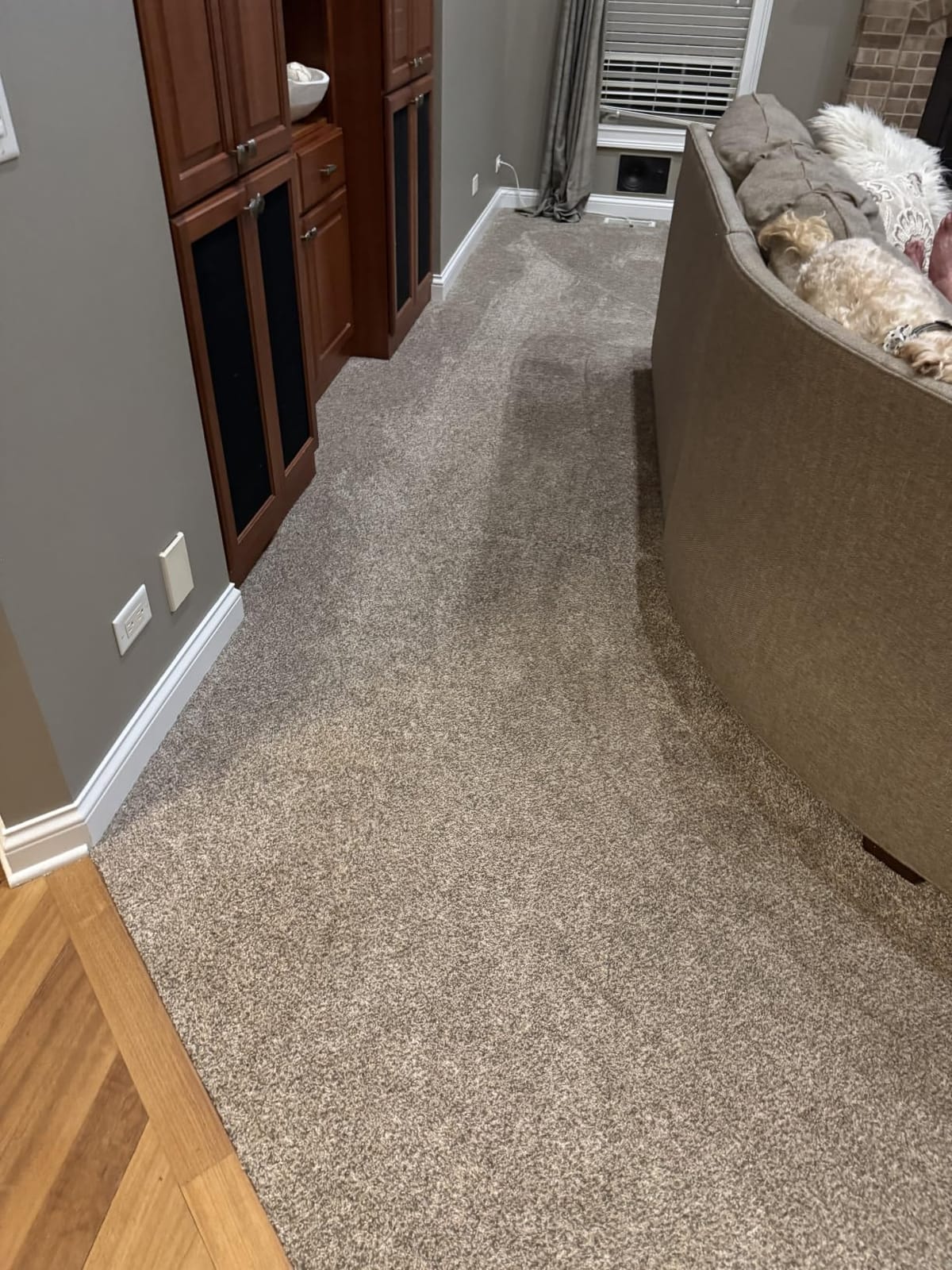 iRobot Roomba Max 775 Pet Robot Vacuum & Mop Combo, 30,000Pa Suction, Heated Mopping, Self-Cleaning Roller Mop, Retracting Mop Cover, Multifunction Dock, Heated Wash & Dry, AI Obstacle Avoidance customer photo 2