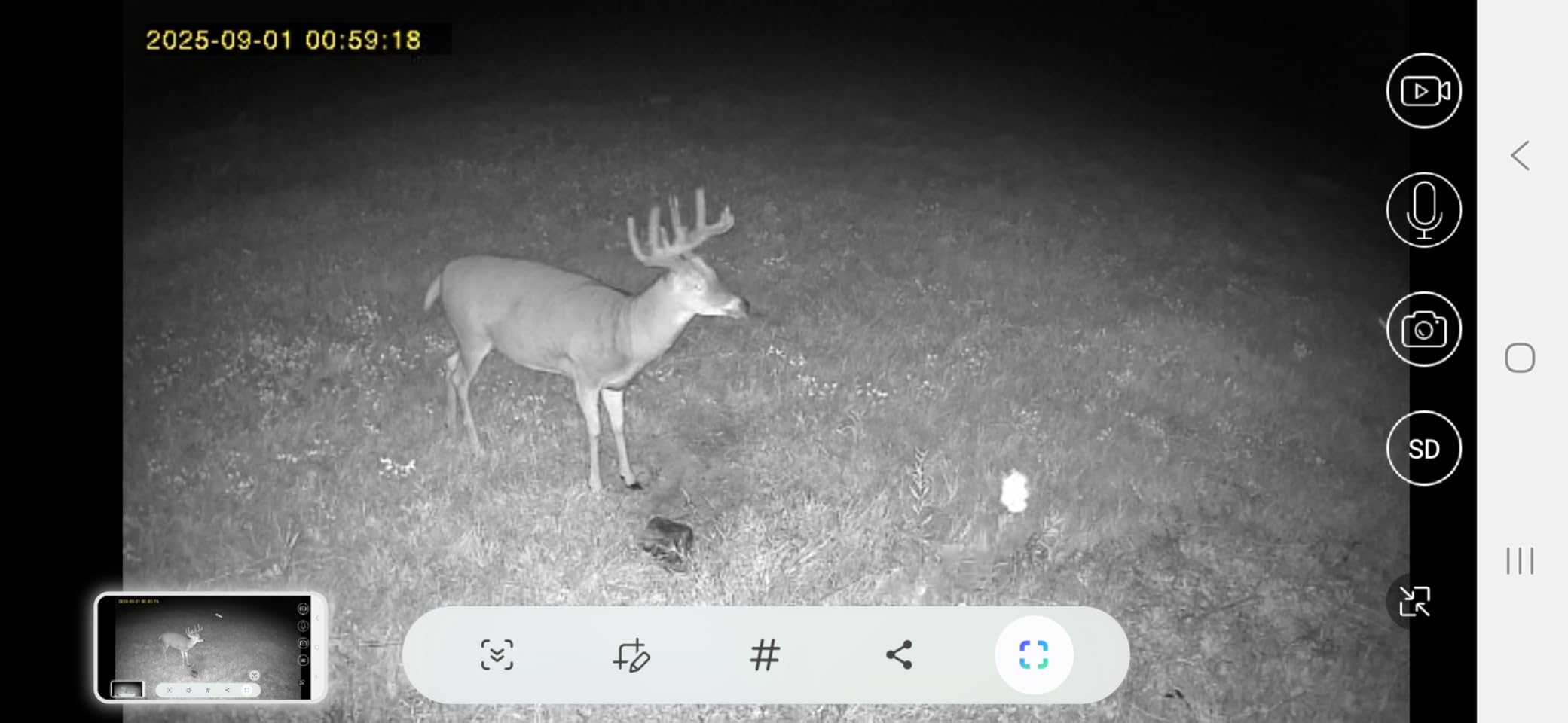 Oculview 4G LTE Cellular Trail Cameras, 360° 2K Live Streaming Game Camera, SIM Card Included, Low-Glow Night Vision, Solar Powered, Instant Alerts, Two Storage Ways, No WiFi Needed for Hunting&Trail customer photo 2