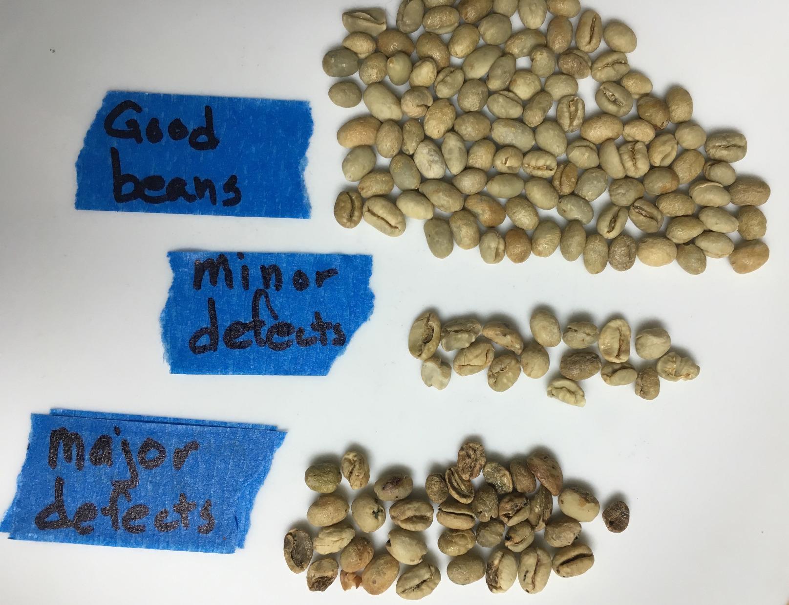 Smokin Beans Tanzania Peaberry, Unroasted Green Coffee Beans, 5-Lb, 1ct customer photo 2