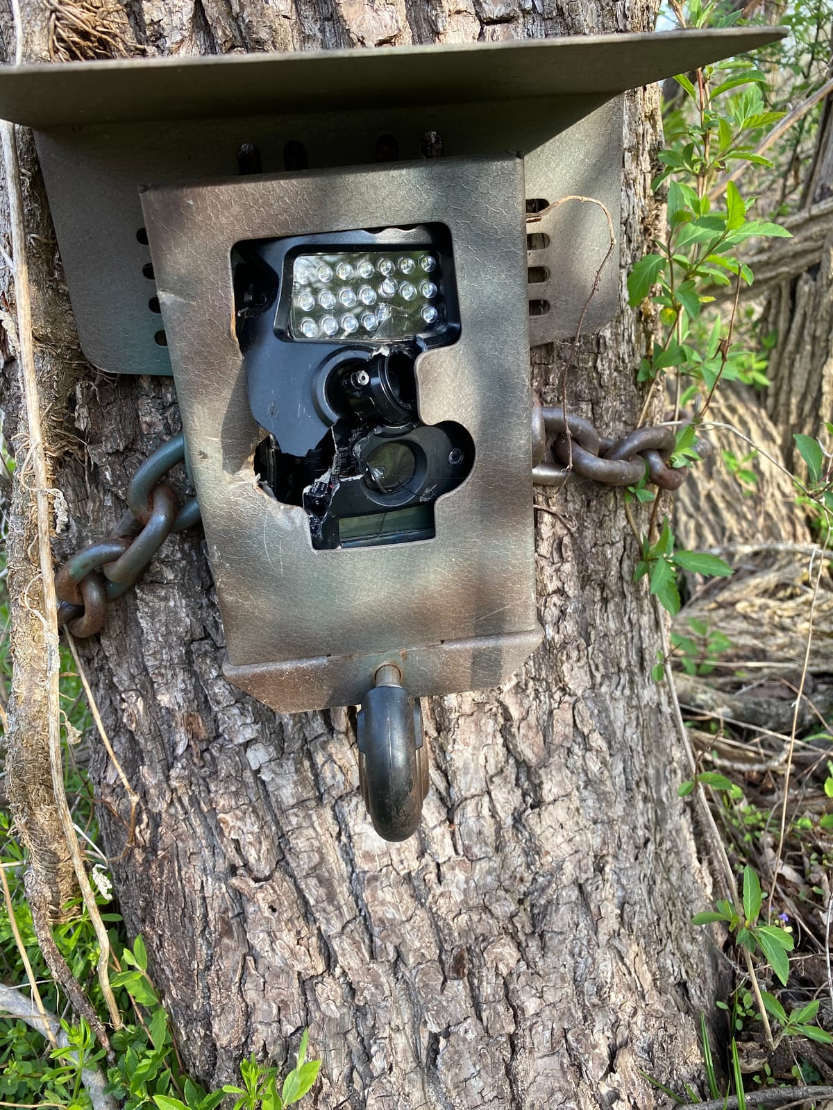 Steel Security Box for Wildgame Innovations Terra Trail Cameras - Durable 16-Gauge Camo Case with Lockable Theft Protection (19150) customer photo 1