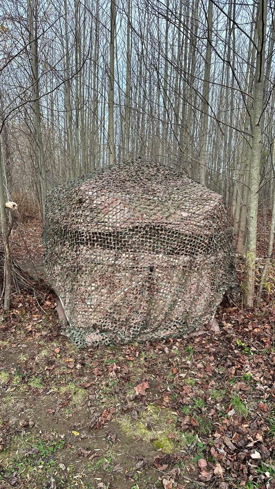 Barronett Blinds Ox Portable Hunting Blind, Pop-Up Hub Blind, Durable Oxhide Fabric, Panoramic Shooting Window, Bloodtrail Backwoods customer photo 2