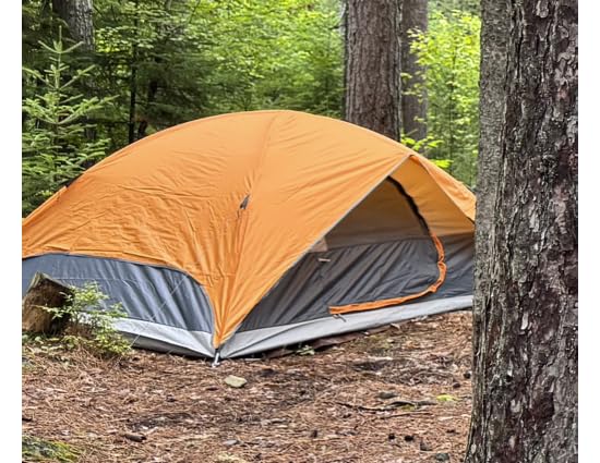 Amazon Basics Camping Tent, 3-Season Dome Design with Rainfly customer photo 2