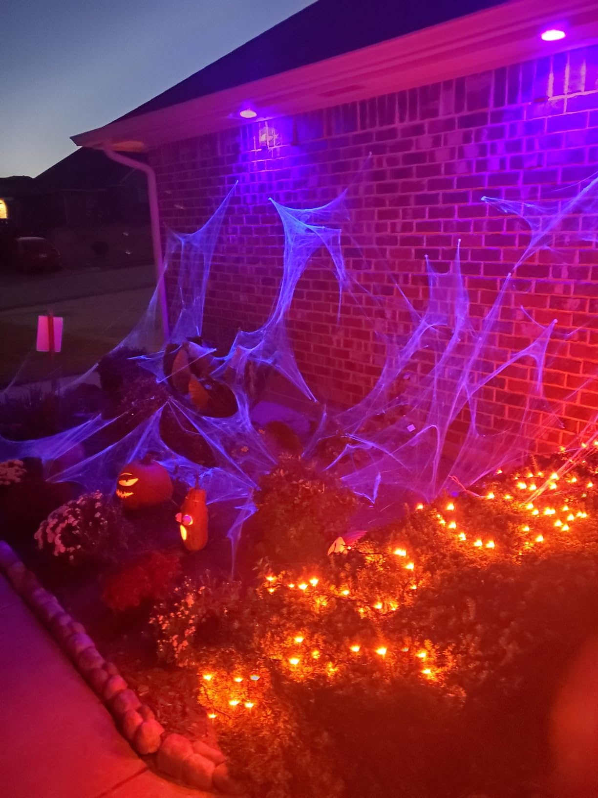 1000 sqft Spider Webs Halloween Decorations with 30 Fake Spiders customer photo 1