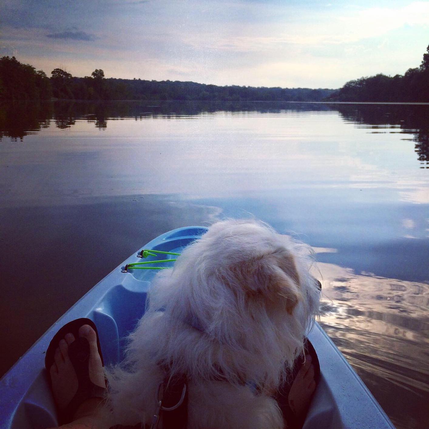 Perception Access | Sit on Top Kayak | High Back Seat | Rod Holders customer photo 2