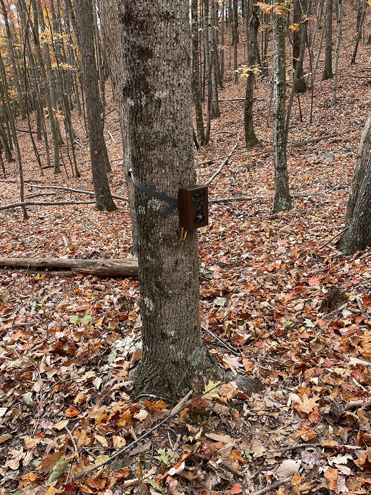 BLAZEVIDEO Trail & Game Camera Security Box customer photo 1