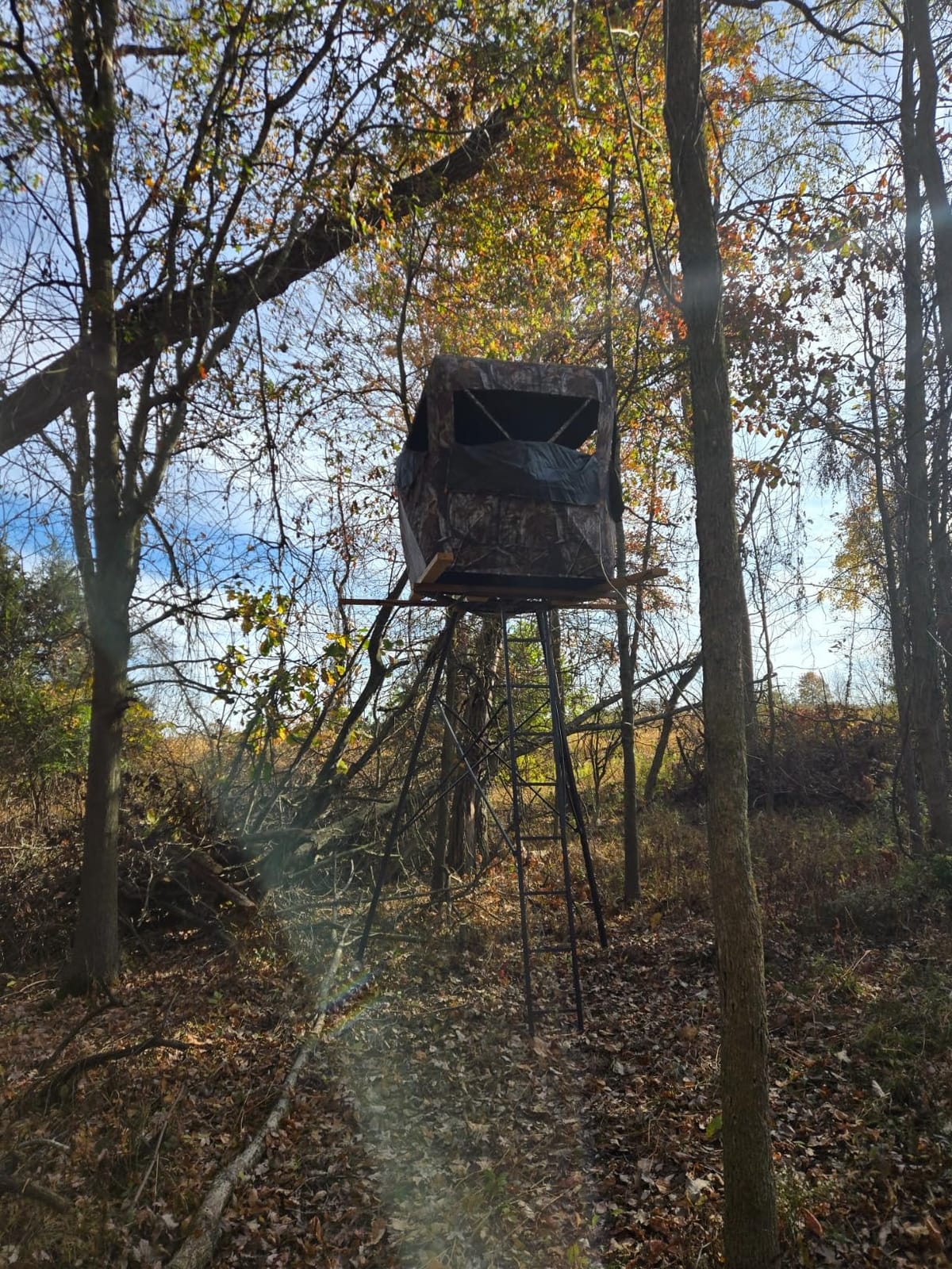 THUNDERBAY SPUR Collector 3 Person Hunting Blind, Portable Ground Blind with Silent Windows, Portable Durable Hunting Tent for Deer & Turkey Hunting customer photo 1