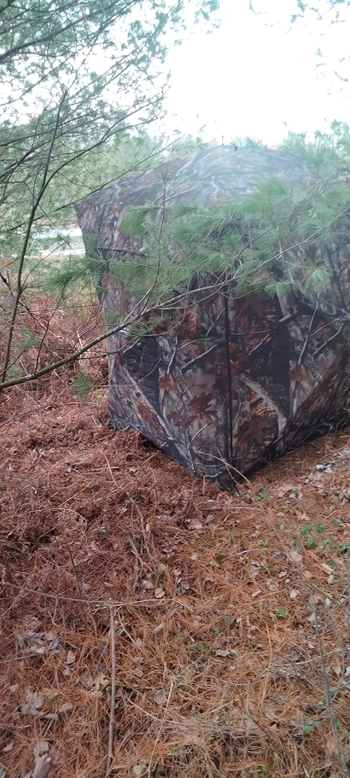 THUNDERBAY SPUR Collector 3 Person Hunting Blind, Portable Ground Blind with Silent Windows, Portable Durable Hunting Tent for Deer & Turkey Hunting customer photo 2