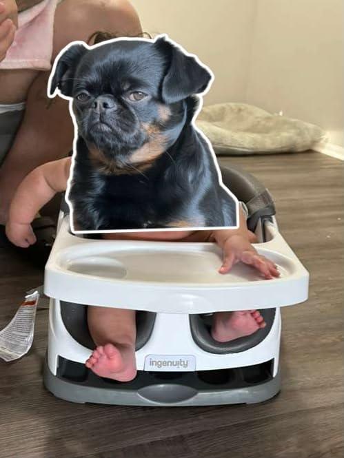 Ingenuity Baby Base 2-in-1 Booster Feeding and Floor Seat with Tray customer photo 1