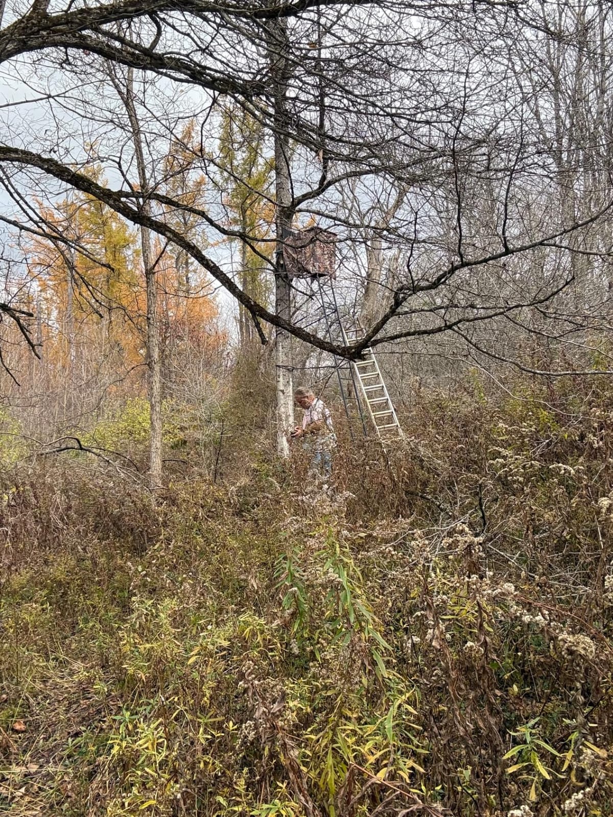 Hunting Tree Stand Blinds, 102