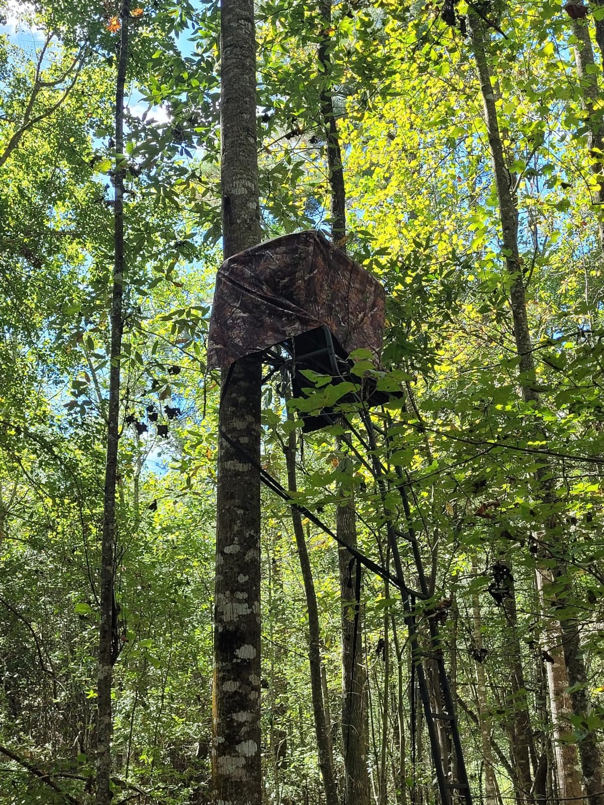 Hunting Tree Stand Camo Blinds Cover with Zipper(Frames Not Included) customer photo 1