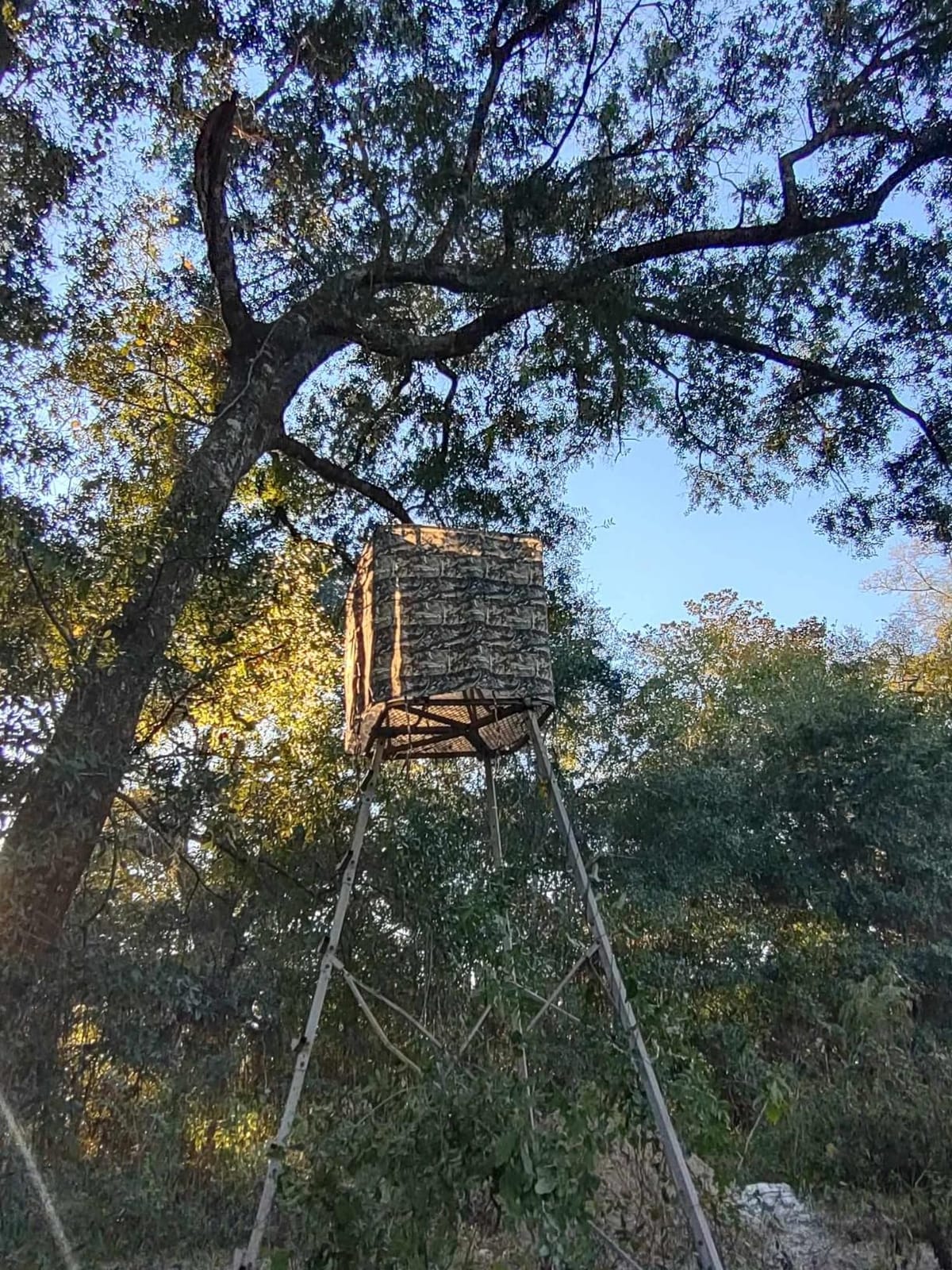 Tree Stand Blind Kit For Deer Hunting 138'' X 35.4'' Universal 2 Man customer photo 2