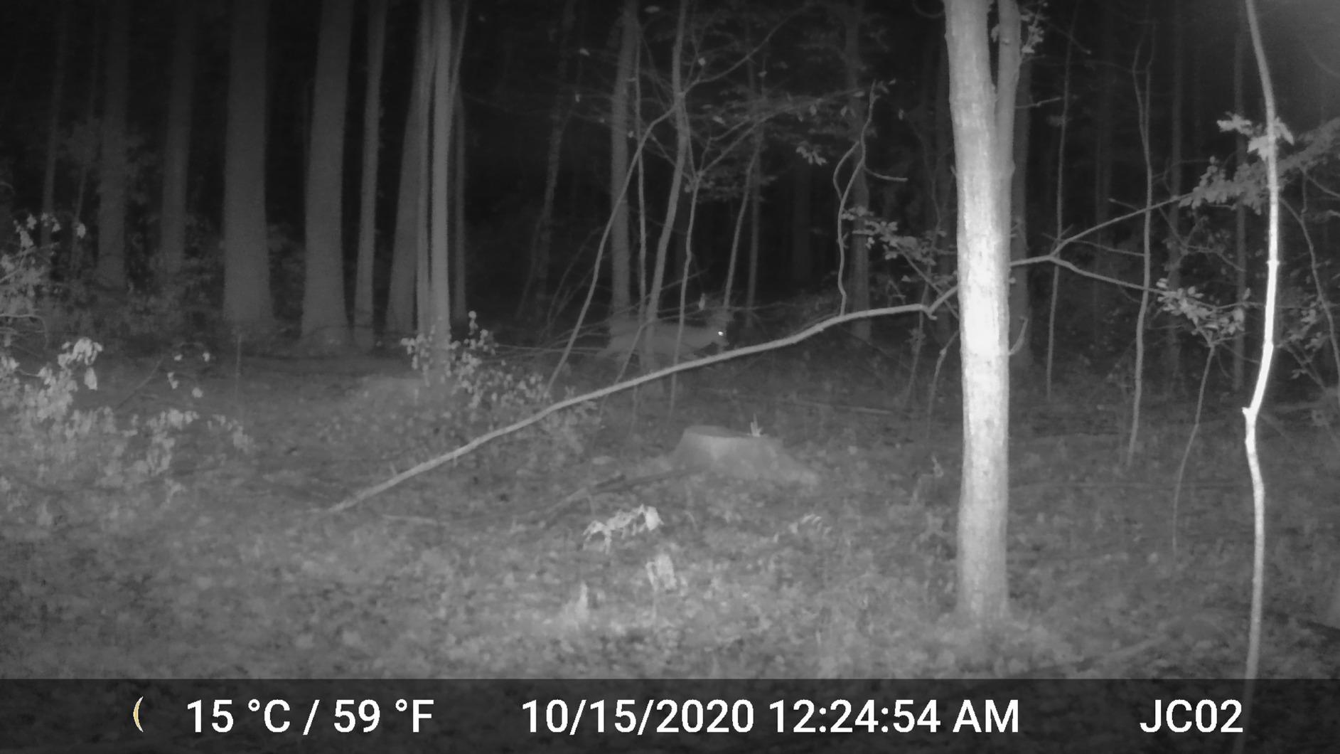 GardePro A3S 2-Pack Non-Cellular Trail Camera, 1296P HD Video with Sound customer photo 1