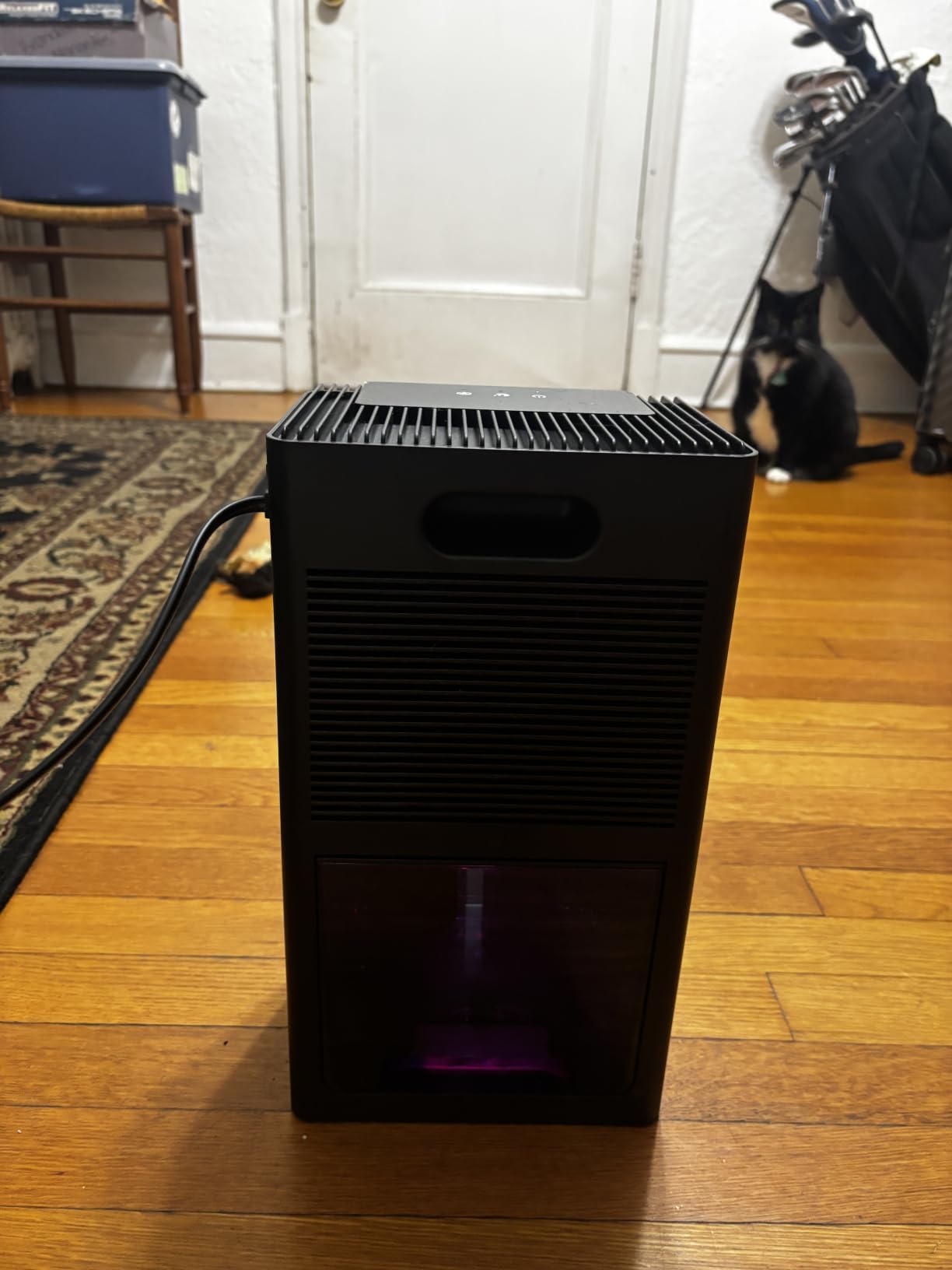 BEDRED Dehumidifier, 95Oz Dehumidifier for Home 1000 Sq.Ft customer photo 2