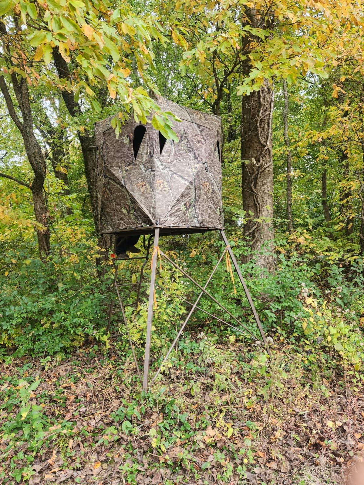 Guide Gear 6 Foot Tripod Hunting Tower Blind, 2-Man Stand Elevated, Hunting Gear Equipment Accessories, 4 by 4 customer photo 1