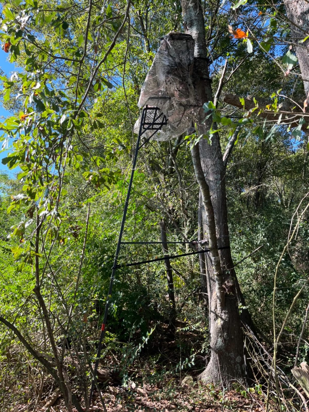 Guide Gear 16.5' 2-Man Ladder Tree Stand for Hunting Elevated Climbing Seat Hunting Gear Equipment Accessories customer photo 2