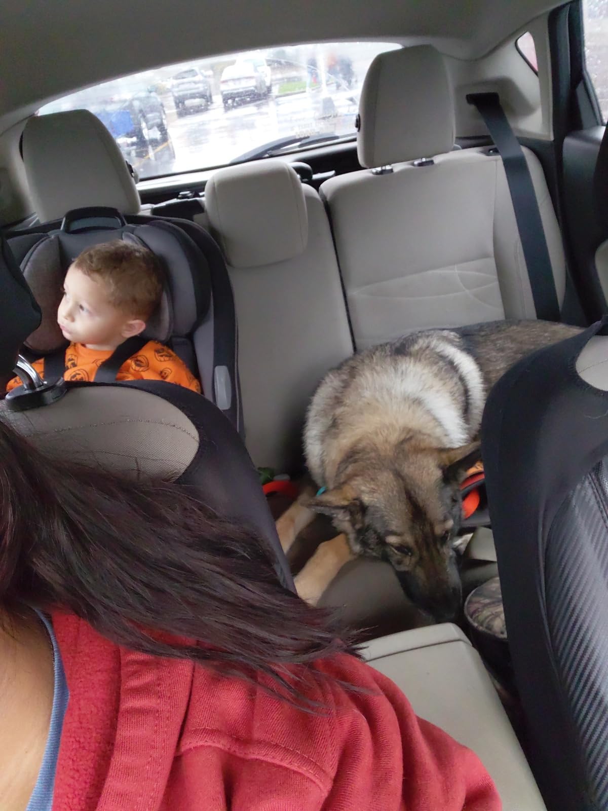 Safety 1st Grow and Go All-in-One Convertible Car Seat, Alaskan Blue customer photo 2