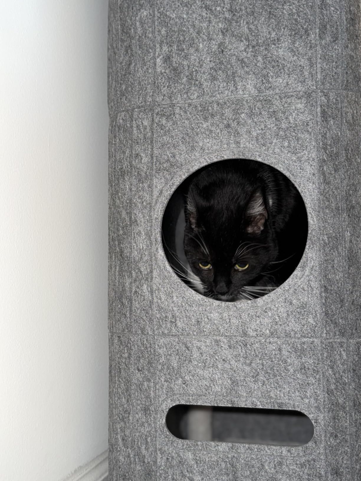 Bedsure 3-Level Cat Tree for Indoor Cats with Scratching Post,Grey customer photo 2