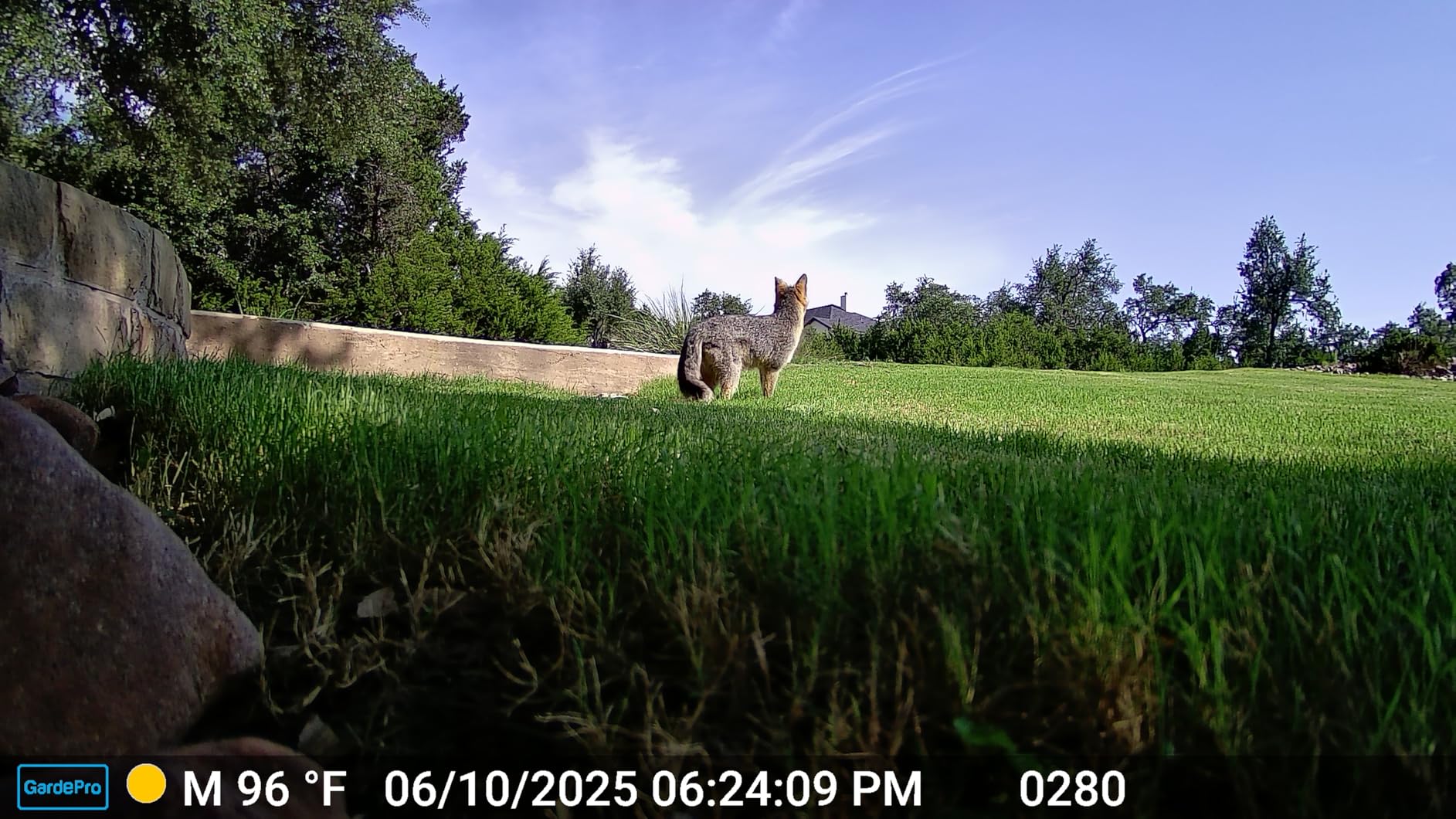 GardePro E6 2.0 WiFi Trail Camera, 4K Video, Dual Antennas customer photo 1
