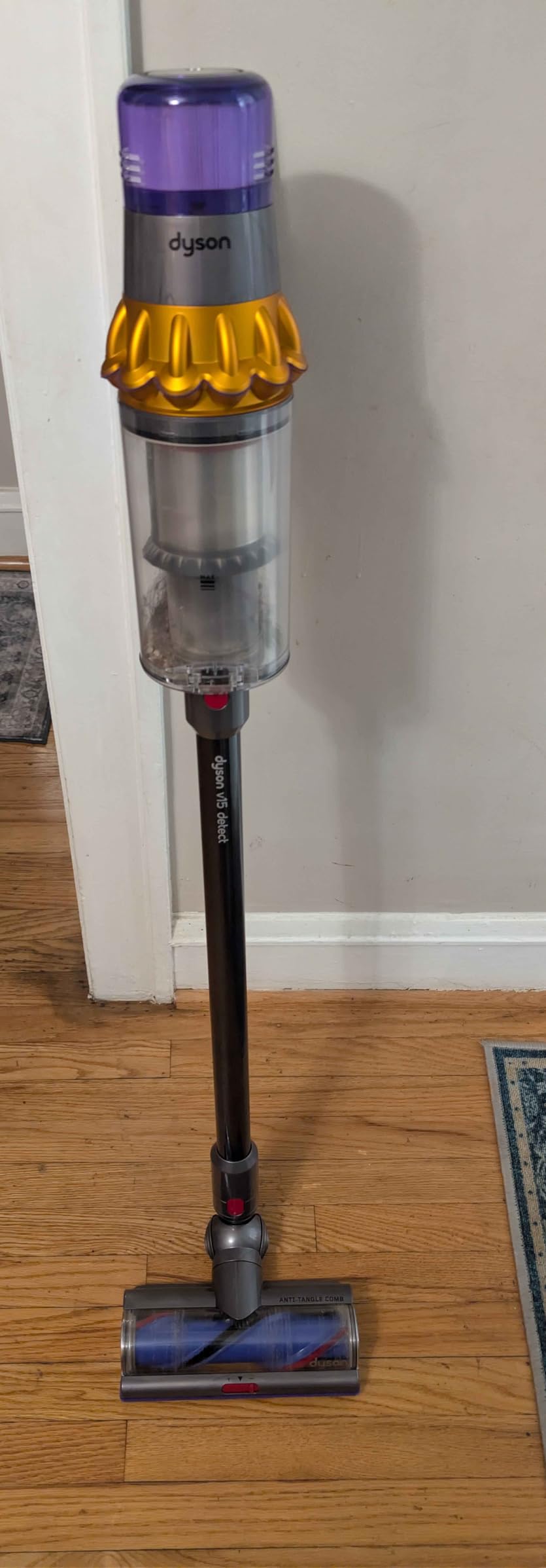 Dyson V15 Detect™ Origin Cordless Vacuum customer photo 1